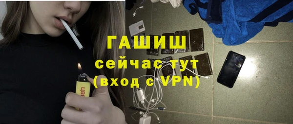стафф Ельня