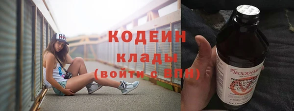 стафф Ельня