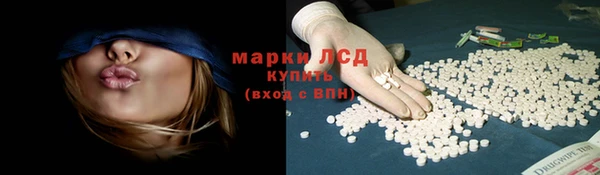 прущие крисы Елизово