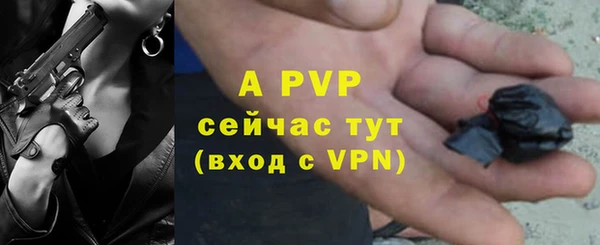 прущие крисы Елизово