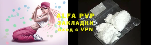 стафф Ельня