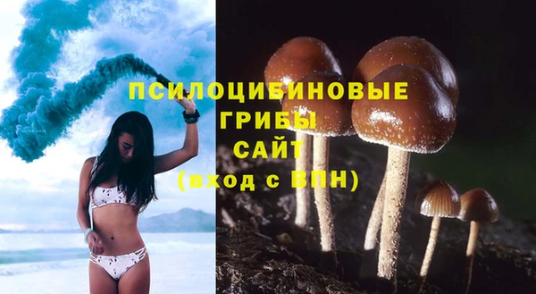 стафф Ельня