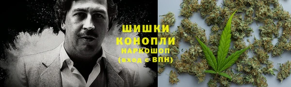 стафф Ельня